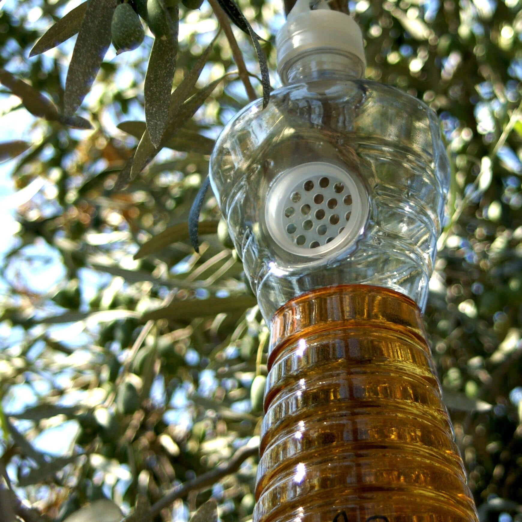 Untitled-2 Untitled-2